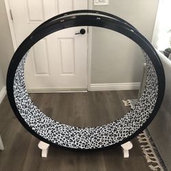 Cat Exercise Wheel