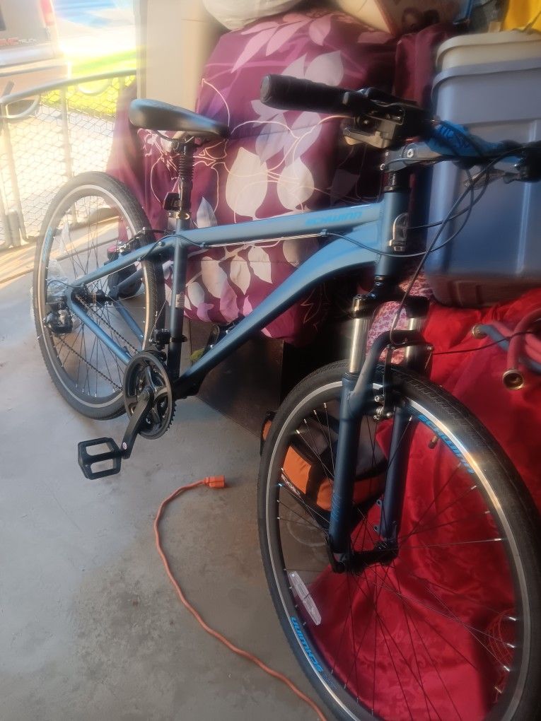 Brand New 28" Schwinn Railway Bike