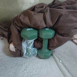 20 Lb Dumbbells Set Of Two
