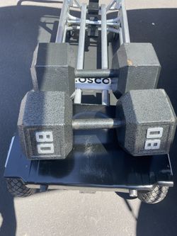 Marcy Pro 80 lb Dumbell