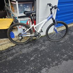 Girls Bike 24 Inch New
