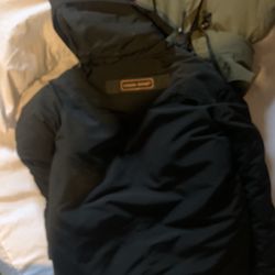 Canada goose 