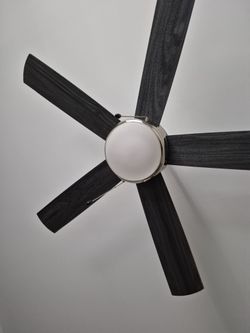 Ceiling Fans