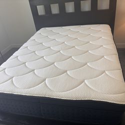 Queen Sized Like-New mattress (always In Cover) & Brand New Box Spring