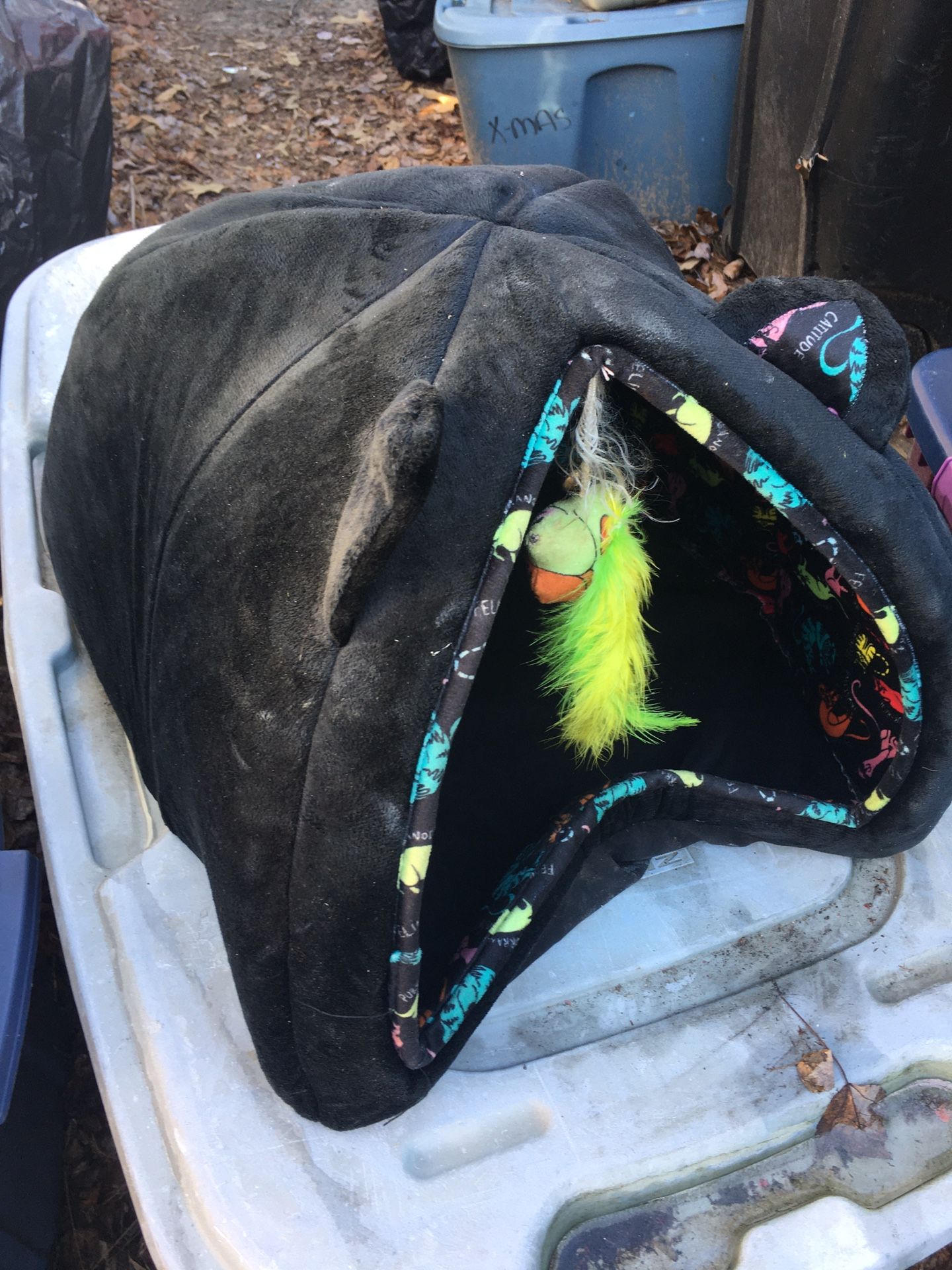 Cat Bed Only $20