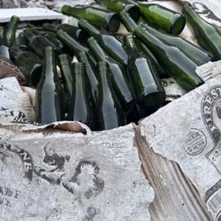 Bottles For Brewing Or For Art