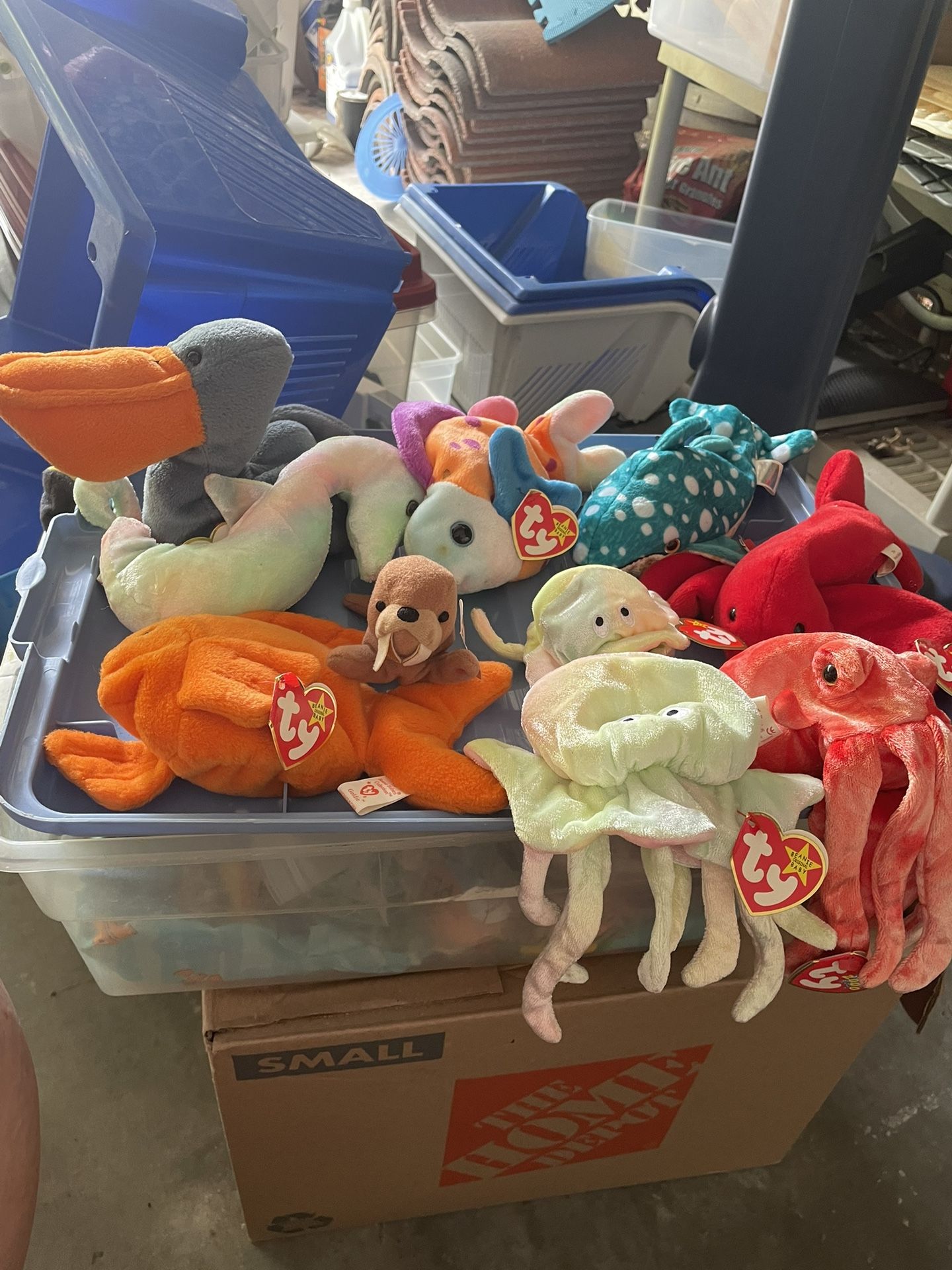 Ocean Beanie Babies