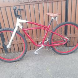 Felt 29er Gorgeous Cruiser