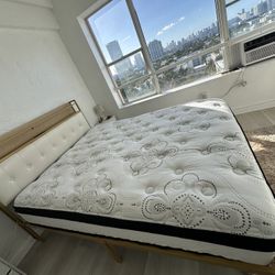 Queen Sized Bed For Sale - Perfect Condition