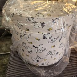 Snoopy Storage