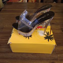 Clear Stilletto  SHOES 