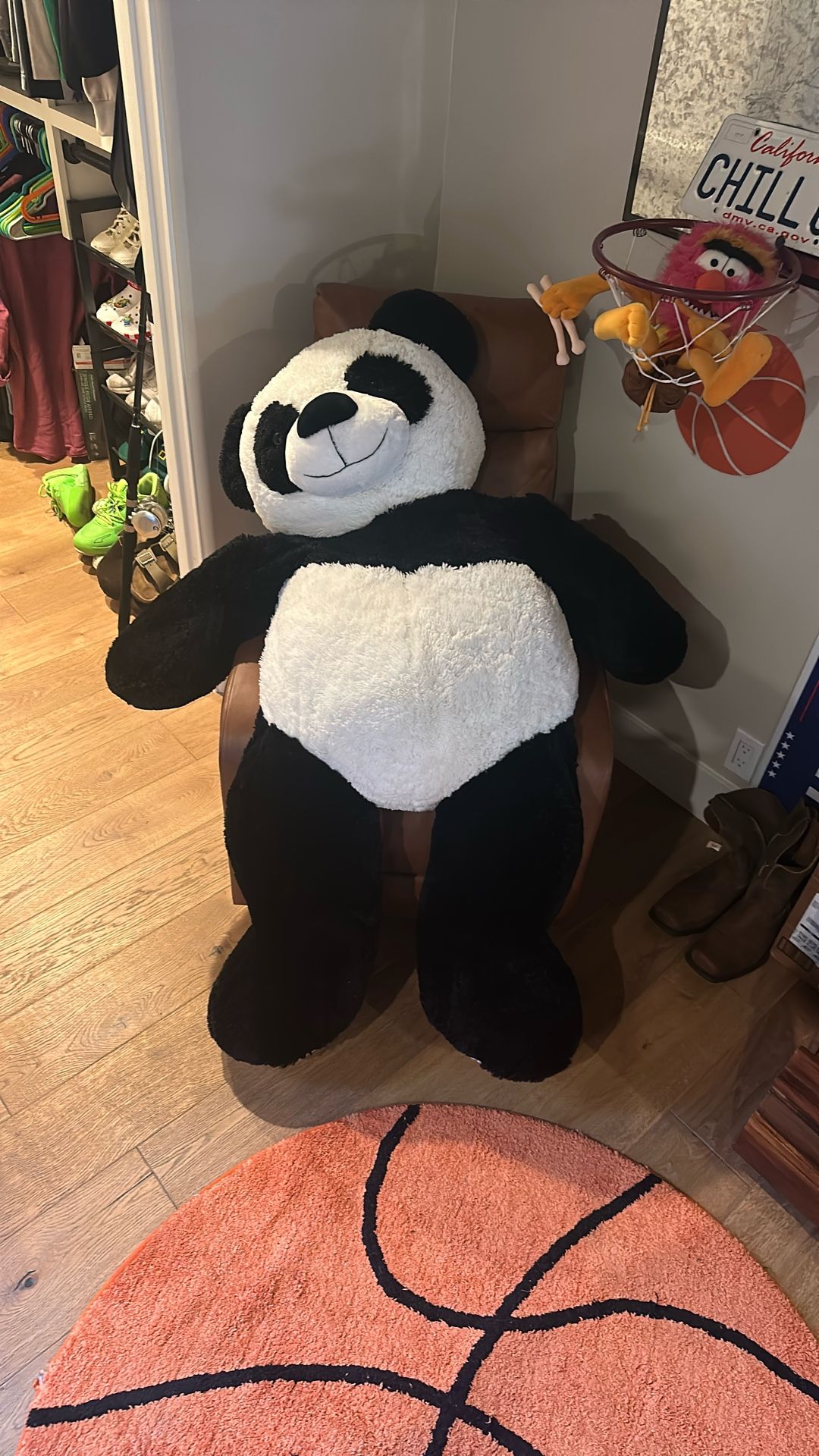 Giant Panda Bear