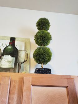 Plant and wall art