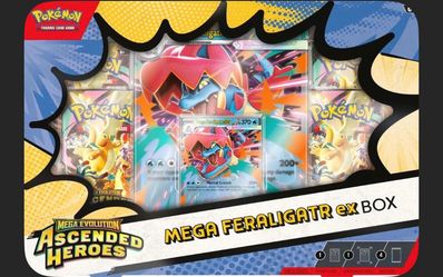 Ascended heroes ex box variants