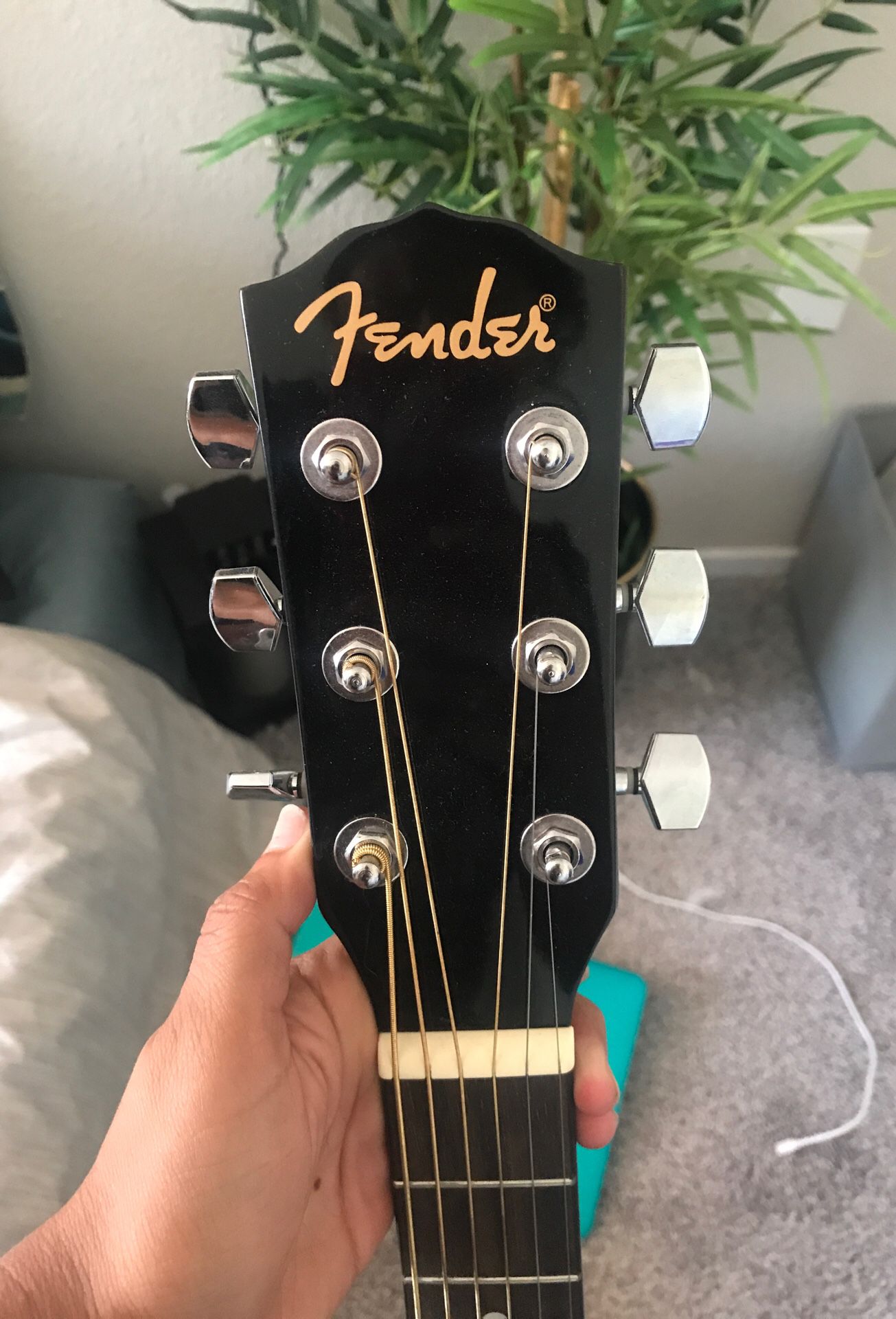 Fender guitar with bag