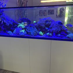 250 Gallon Salt Water Aquarium (Red Sea)