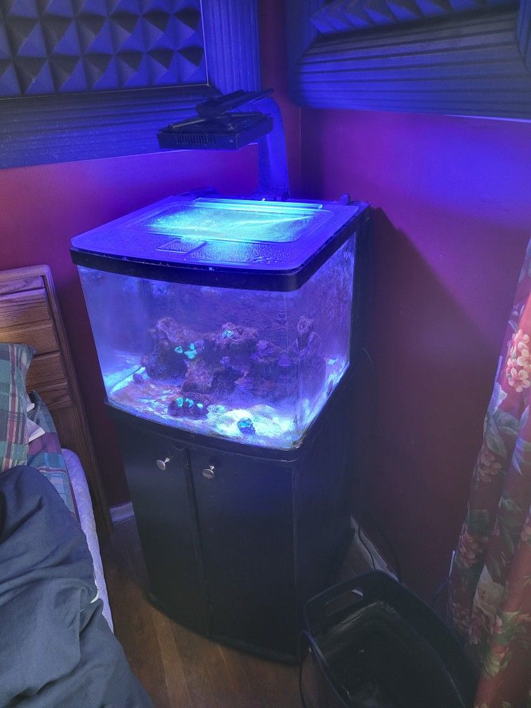 Biocube 32 Full System