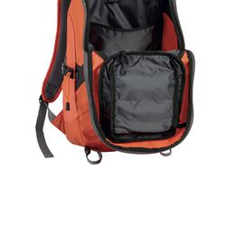 Silvertheone Backpack