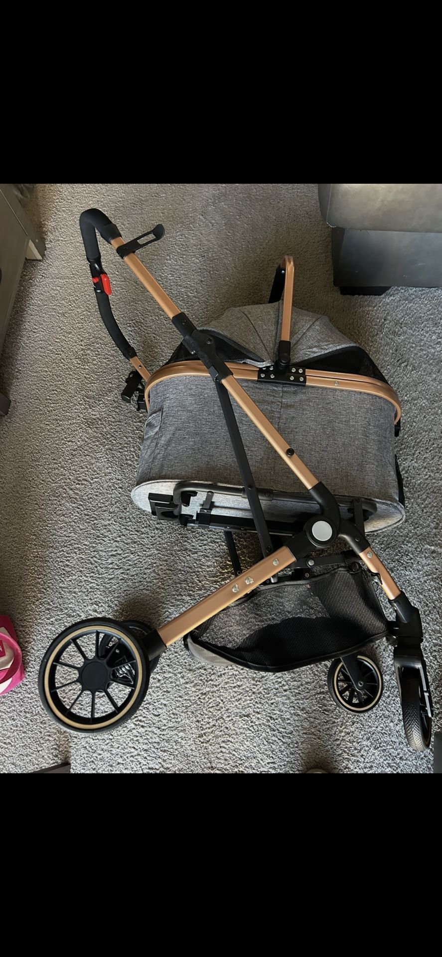 Pet Stroller