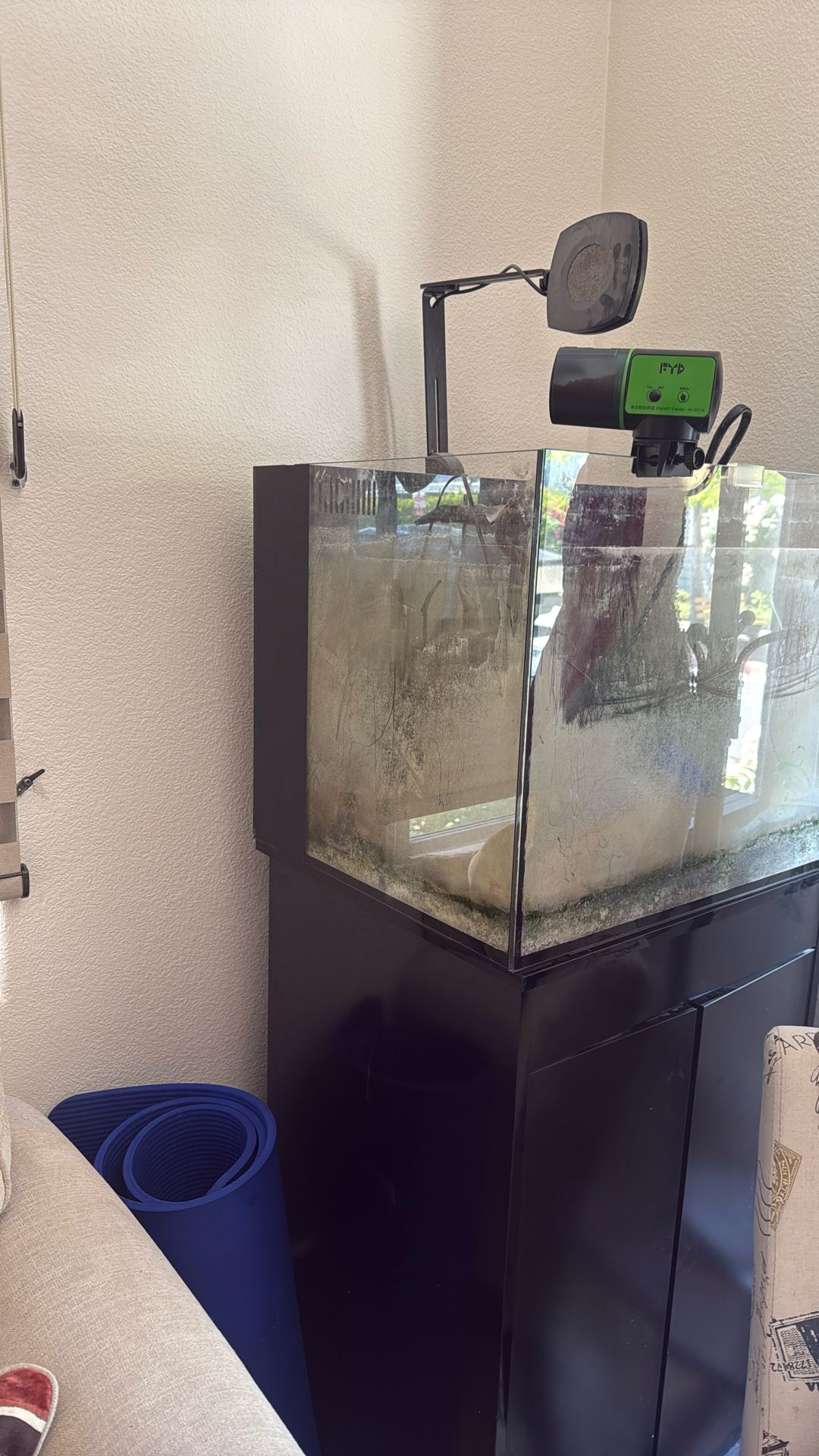 Aquarium For Sale
