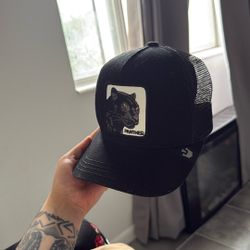 GOORIN BROS MEN'S THE PANTHER BALL CAP