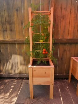 Raised Cedar planter with trellis