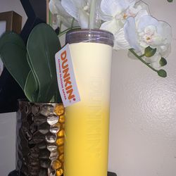 Dunkin’donuts 24 Oz Rainbow Silicone Sipper- Collection 2024
