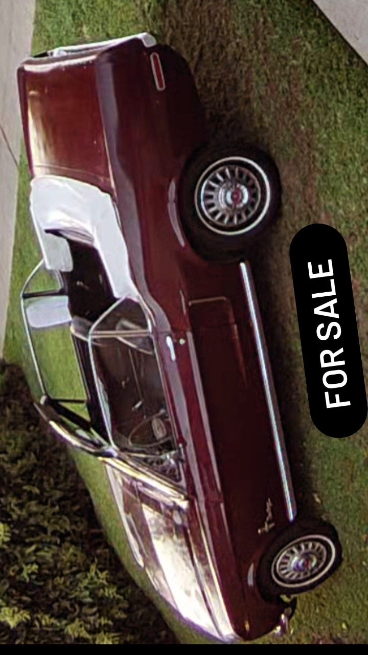 Mustang