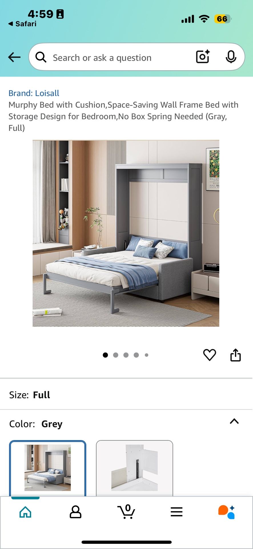 Murphy Bed With Couch