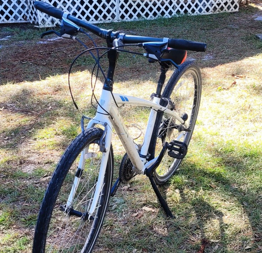 2017 Trek Verve 3 -Crystal White