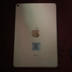Apple IPad Mini 5th Generation 