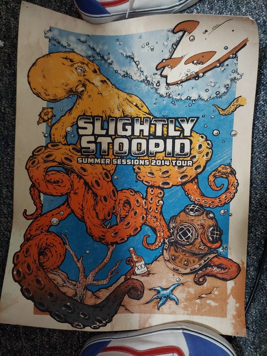 Slightly Stupid Concert Poster