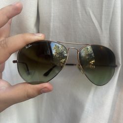 Ray Ban Shades