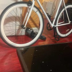 Tal Y Como Está En La Foto