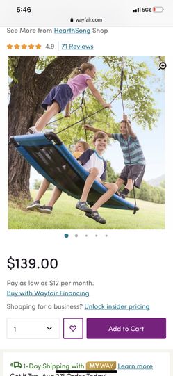 SkyCurve Platform Swing