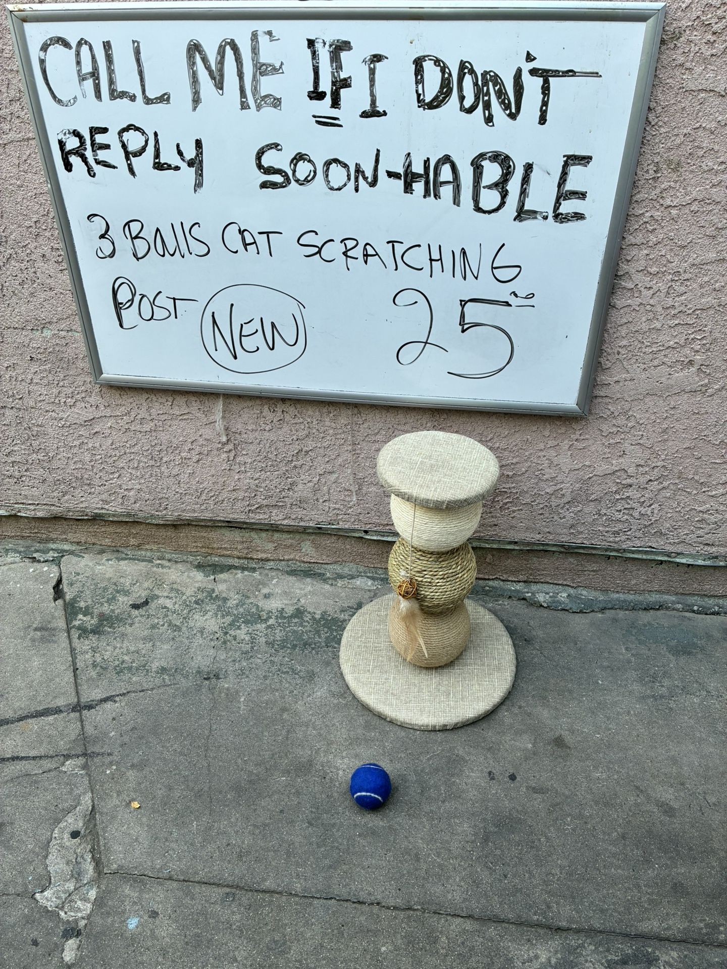 New Pet Scratcher