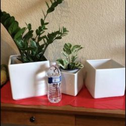 3 Pieces Square Ceramic Pot With Drainage Hole 