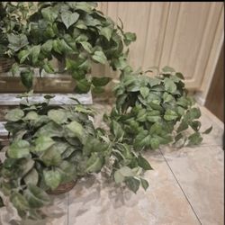 Plant Includes A Pot Artificial Silk Faux Plant 