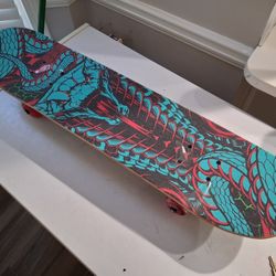 Skate Board