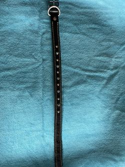 Spiked Dog Collar 13”