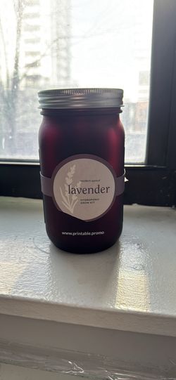 Lavender Hydroponic grow kit