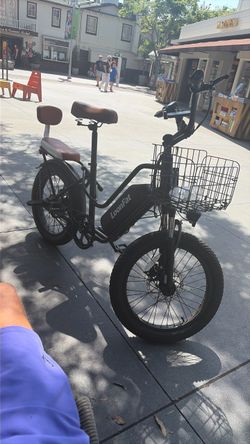 LoonFat Fat Tire Electric Bike