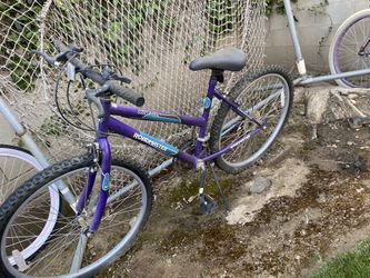 Road Master And MAGNA Bike 