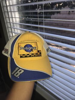 Pedigree racing cap