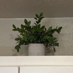 Plant Decor 4 Piece Set