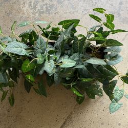 ARTIFICIAL FAKE SILK PLANTS FLOWERS