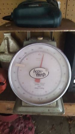 Scales