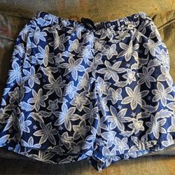 The North Face mens swimming trunks size mens Small in great shape