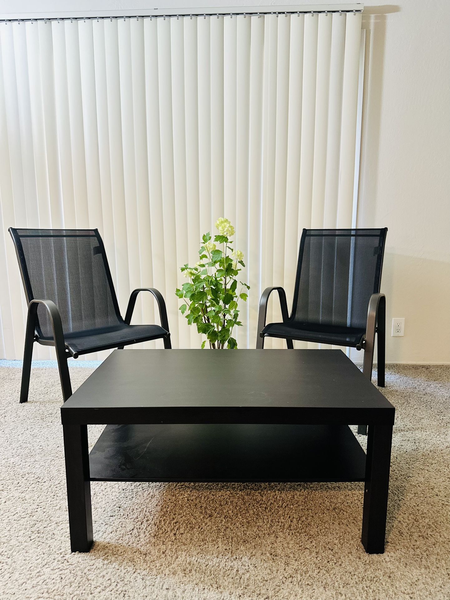 Modern Living Room Set – 2 Chairs, Coffee Table & Plant – $70 Total