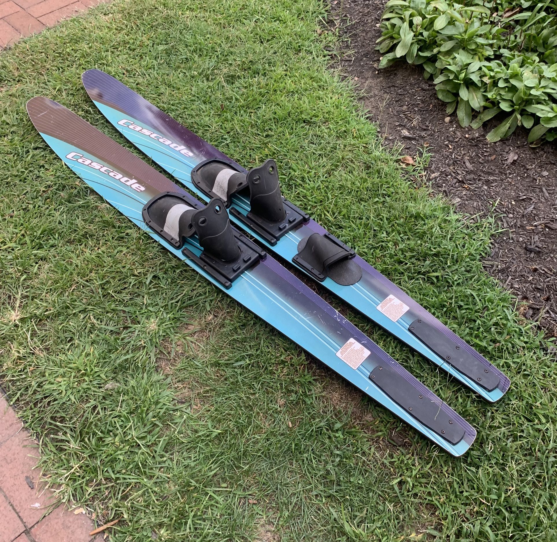 Cascade Skis 67" long adjustable normal wear few scratches 